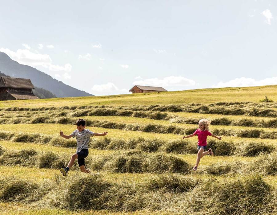 Kinder laufen auf der Almwiese in Obertilliach in Osttirol